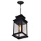 Cwi Lighting Milford 1 Light Outdoor Black Pendant 0418P7S-1 - alternate 2